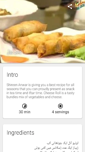 Chef Mehboob Recipes Screenshot 2
