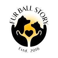 Fur Ball Story