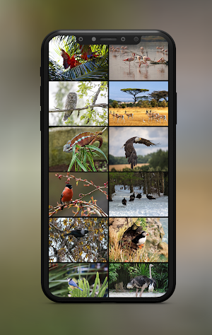 Animal Sounds Ringtones Screenshot 1