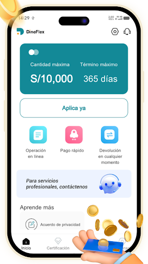 DineFlex-Préstamo en efectivo Screenshot 2