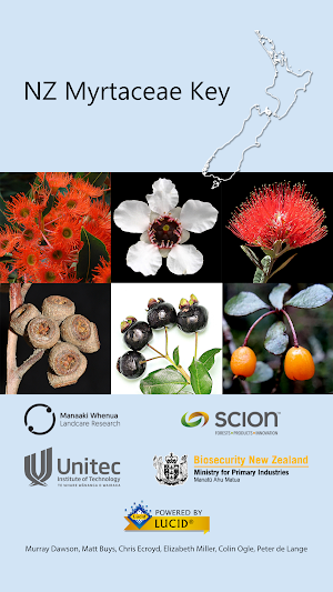 NZ Myrtaceae Key Screenshot 0