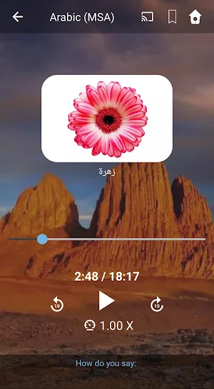 Learn MSA Arabic. Speak MSA Arabic. Study MSA. Screenshot 1