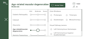ViSymulation Pro Screenshot 1
