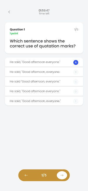 CLT Practice Test Screenshot 3