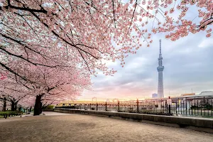 Tokyo City Wallpaper HD screenshot 8