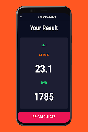 BMI BMR Calculator Screenshot 2