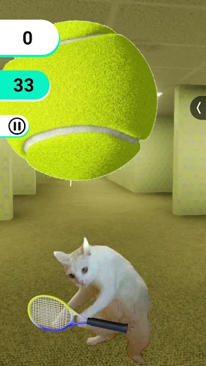 Kitty Tennis Screenshot 3