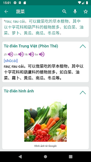 Vietnamese French Dictionary Screenshot 1