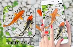 Fish Live Wallpaper 2020: Aquarium Koi Backgrounds screenshot 5