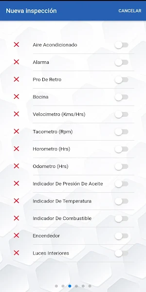 Sigmisa Inspecciones Screenshot 3
