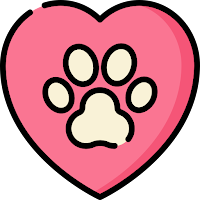 PawPalz - Pets Share Stories