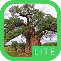 eTrees of Southern Africa Lite