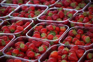 Strawberry Wallpapers 2 Screenshot 2