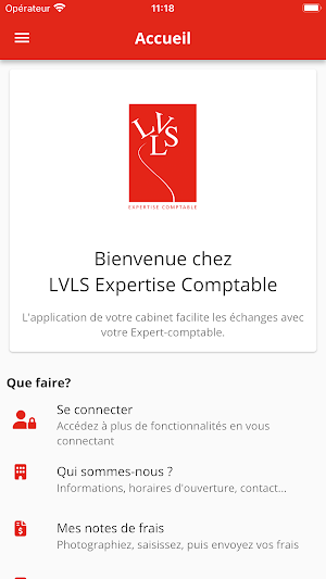 LVLS Expertise Comptable Screenshot 0