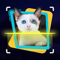 Cat Recognition by Photo