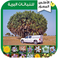 الأطلس المصور للنباتات البرية