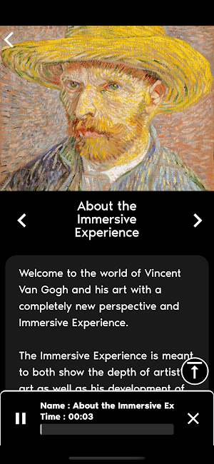 Van Gogh Immersive Experience Arlington Screenshot 3