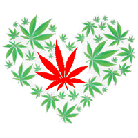 Weed Lovers Dating