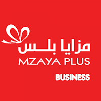 Mzaya plus parteners