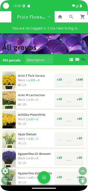 Pride Flowers Screenshot 0