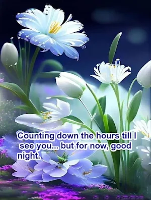 Good Morning Good Night Screenshot 3
