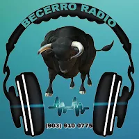 Becerro Radio