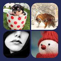 4 photos 1 word