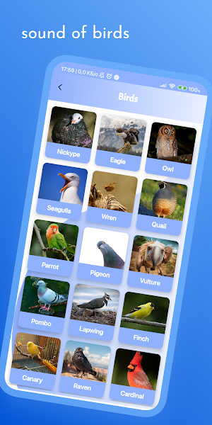 Animaliston Screenshot 1