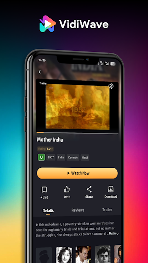 VidiWave Screenshot 1
