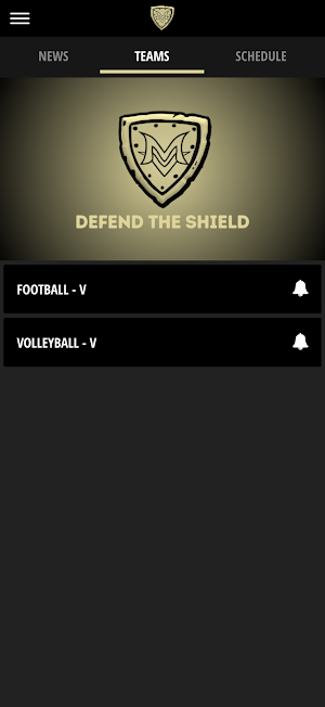 Mt. Vernon Marauders Screenshot 3
