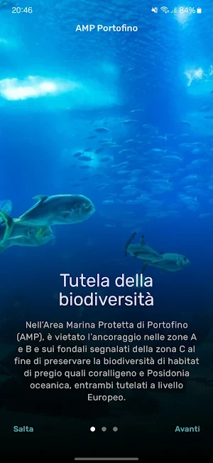 AMP Portofino Screenshot 0