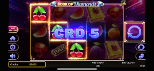 Piggy Bank Deluxe Screenshot 2