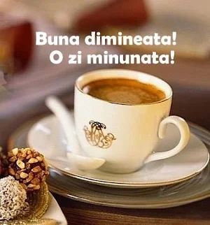 Buna Dimineaţa Noapte Bună Screenshot 2