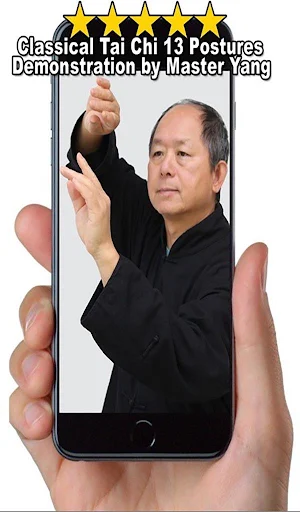 Tai Chi 13 Postures Screenshot 0