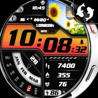 Spring Digital Watch Face IN30