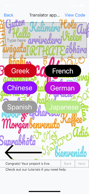 Translator App Screenshot 2