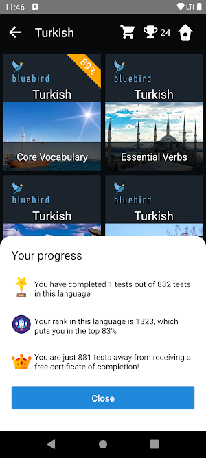 Turkish Language Tests Screenshot 2