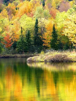 Beautiful landscapes Screenshot 3