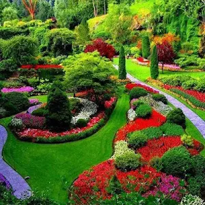 Garden design Screenshot 0