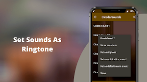 Cicada Sounds Screenshot 2