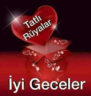 Iyi geceler Screenshot 2