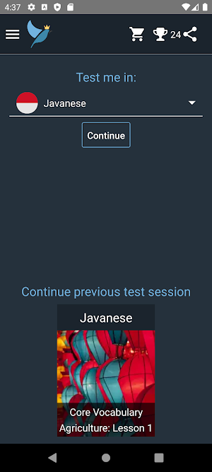 Javanese Language Tests Screenshot 0