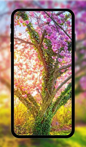 Spring wallpaper HD+ Screenshot 2