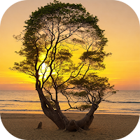 Photo Illusion AI Diffusion AI