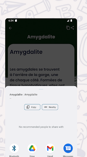Dictionnaire des Maladies Screenshot 3