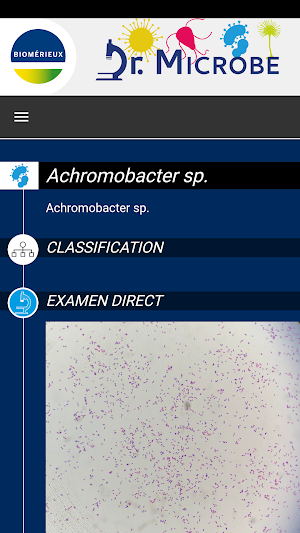 Dr Microbe Screenshot 3