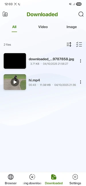 Video Downloader Hub Screenshot 3