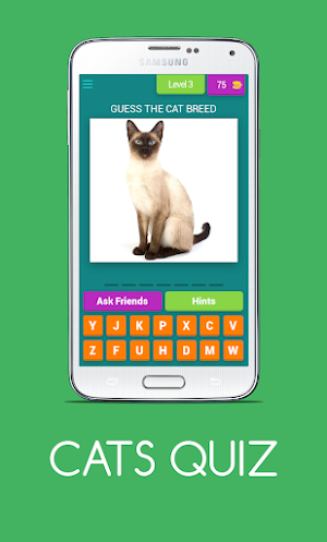 CATS QUIZ Screenshot 3