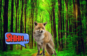 Wild Animal Photo Frames Screenshot 3
