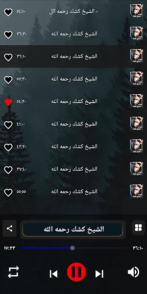 دروس عبد الحميد كشك بدون نت Screenshot 1